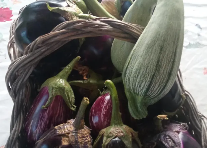 Agri Bertorella