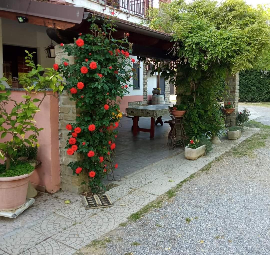 Agri Bertorella *