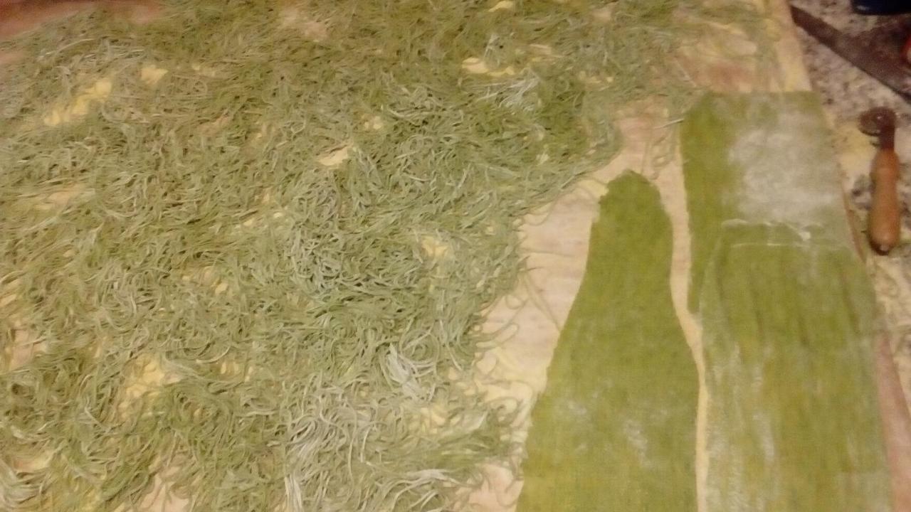 Agri Bertorella *